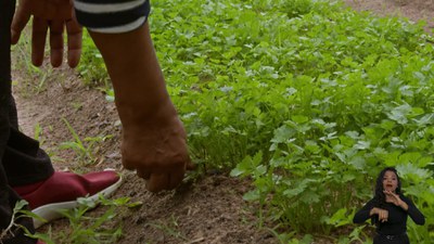 Campo da Gente - Episódio 6 com Adrielli - Quintais Produtivos e a autonomia das mulheres no campo