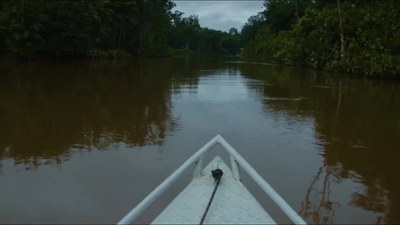 CineGov - A Força Que Transforma