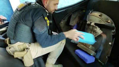 CineGov – Pássaros parte 2