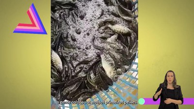 EP 05 - A PROFESSORA QUE DEU A VIRADA COM UMA CRIAÇÃO DE PEIXES INOVADORA